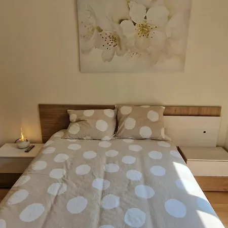 Jardines De La Catedral - Vut-4276-as Y Vut-4278-as Oviedo